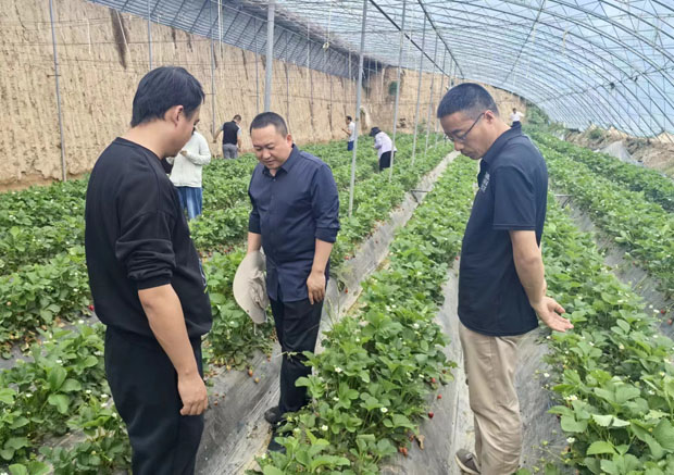 4926a0fff2fd4d9e9ce8ffc6bf2b84e2.jpg 我院2024年度科研项目中期检查工作全面启动32.jpg