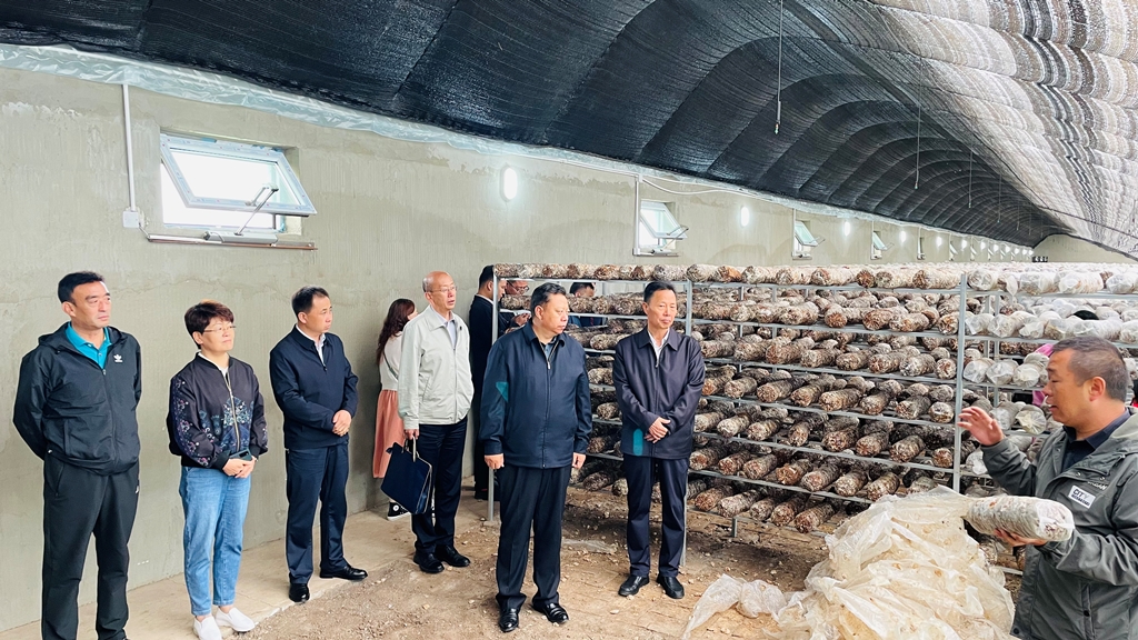 05ef58a4b88146019c40dfe90795854b.jpg 05ef58a4b88146019c40dfe90795854b.jpg