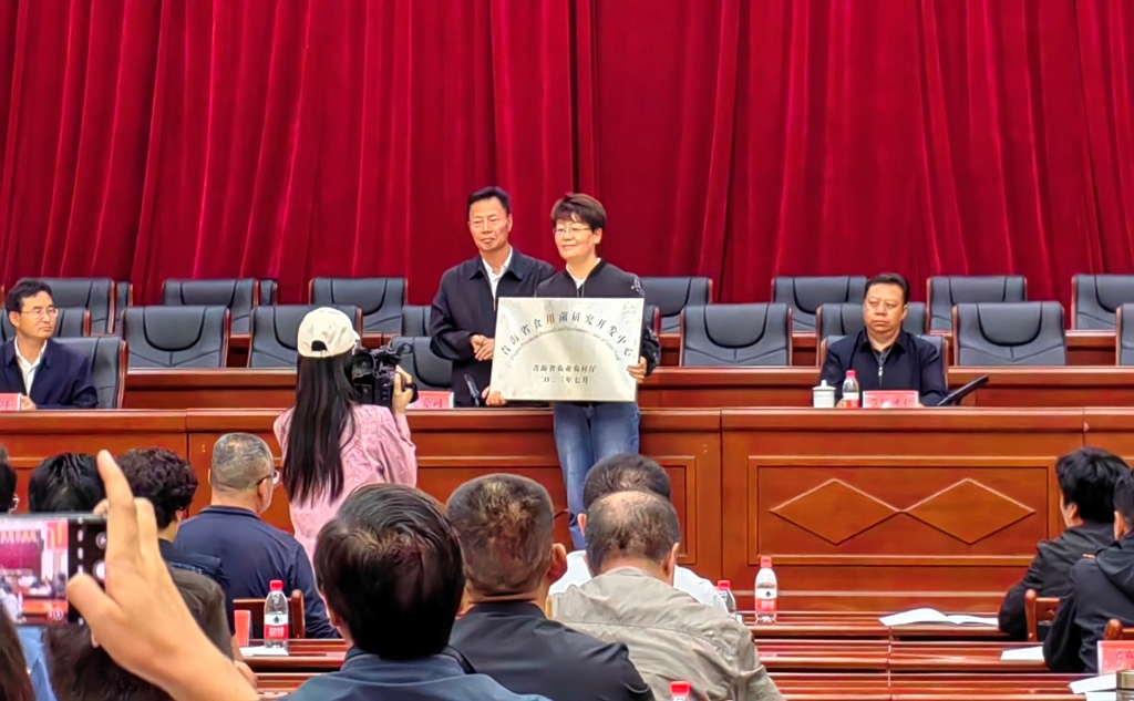 36cb9ccd07ac446fbdbca904e675977a.jpg 36cb9ccd07ac446fbdbca904e675977a.jpg